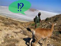 عدالت؟ واژه اي در دست ... عدالت؟ واژه اي در دست ...