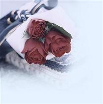 هواي سرد دلتنگي.... هواي سرد دلتنگي....