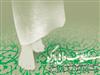 دردواره ي نمناک اشک ها