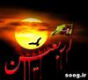 اربعين زينب