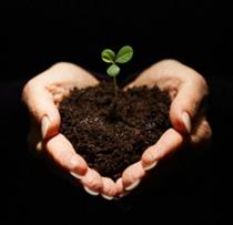 اين است روحيه ي نشاط و اميد؟! اين است روحيه ي نشاط و اميد؟!