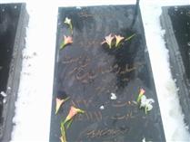 سلام مادر شهيدم