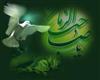 ارادتم و ديگر هيچ