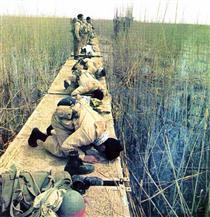 کدام نسل سوخته