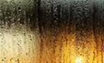 افتخار داريم تا افتخار!