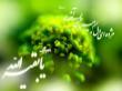 محمد مهددیزاده