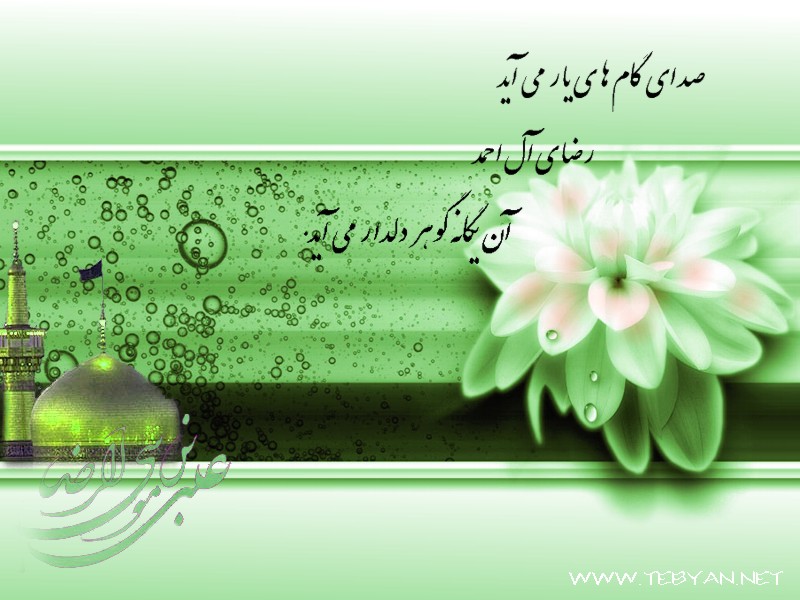 یا امام رضا(ع)