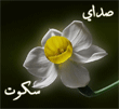 صدای سکوت 