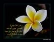 عقیق
