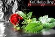 برق-الکترونیک جیرفت