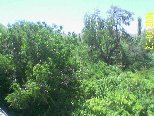 این هم یه منظره جالب از روستای هادرباد