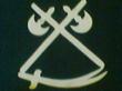 دیوانگان بانوی دمشق