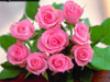 اسمان برای تو می گرید