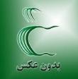 دنیای عاشقانه ها