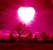 Hovel Love