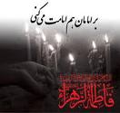 جانم فدای مادر