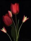 ماجراهای سوم تجربی