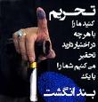 انتخابات همیشه آزاد