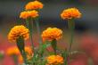 از فرش به عرش
