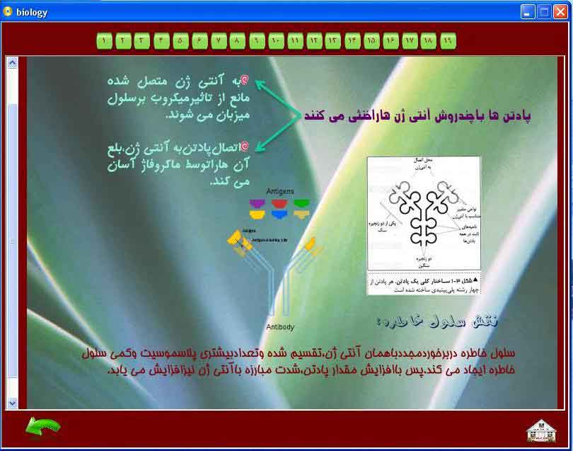 نمودار
