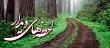 لحظه های دیدار