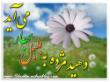 محمد منصور سمائی