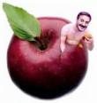 دیدنی دونی