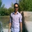 دیدار دوستان