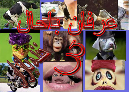 خنده بازار