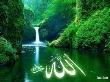 فانوس 12