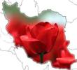 نقدواره فیلم