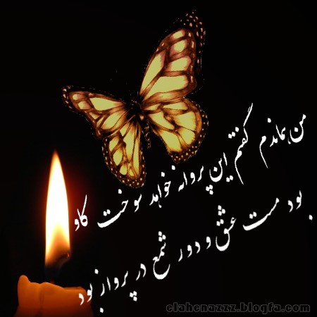 دوست دارم