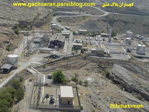بی بی حکیمه
