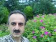 گوکه در گذرزمان