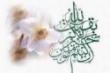 آفتاب مهربانی