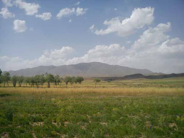 آیلاخلی