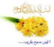 شورک چه بلند وبام شورک چه بلند......