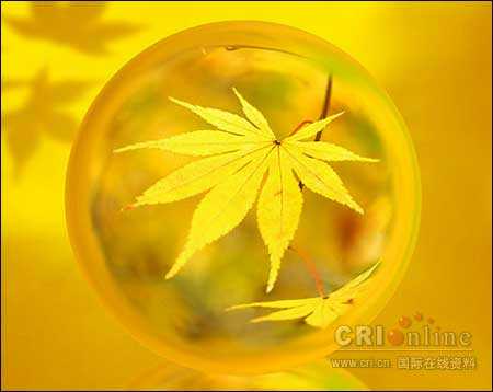 فقط خدا رو عشقه - به روز رسانی :  3:31 ص 95/9/24
عنوان آخرین نوشته : پرسشنامه من