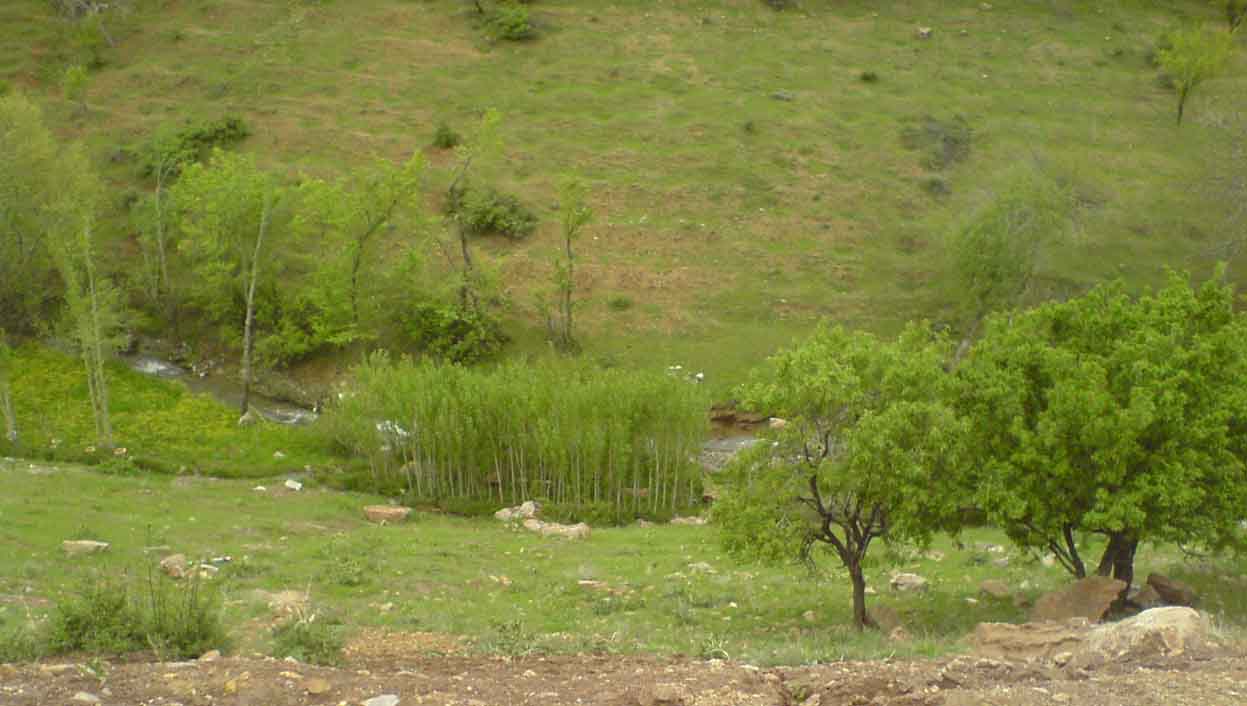 باغ دره
