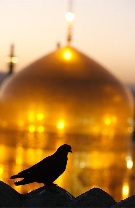 علی بن موسی الرضا