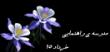 مدرسه ی راهنمایی پانزده ی خرداد