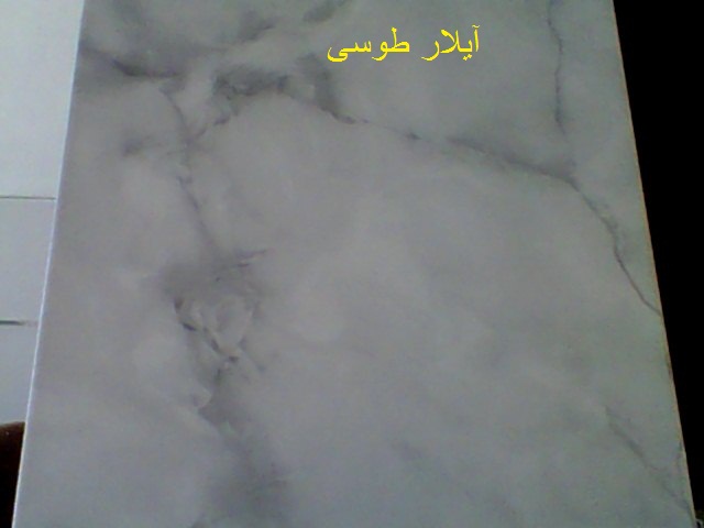 آیلار طوسی،ماهان میبد