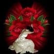 عاشق چشم اتنظار