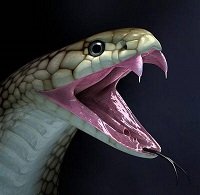 مار