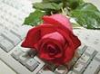 آیینه زندگی