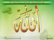 همیشه امید داشته باش