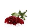 ღ___♥___ღ پاییزانღ___♥___ღ