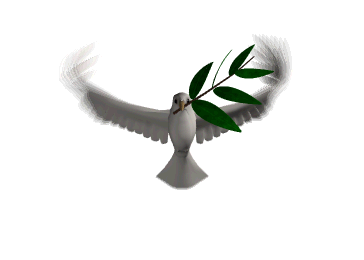 رایـحه ی حقـیقـت