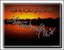 کاش می دانستم 