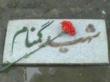 گمنام
